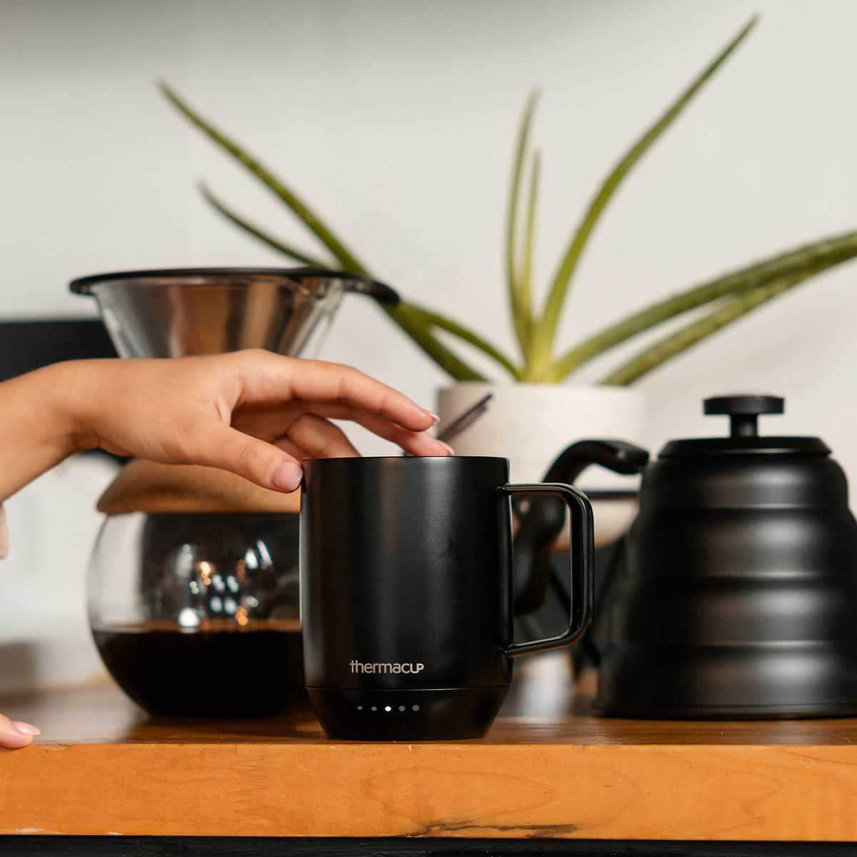 Thermacup